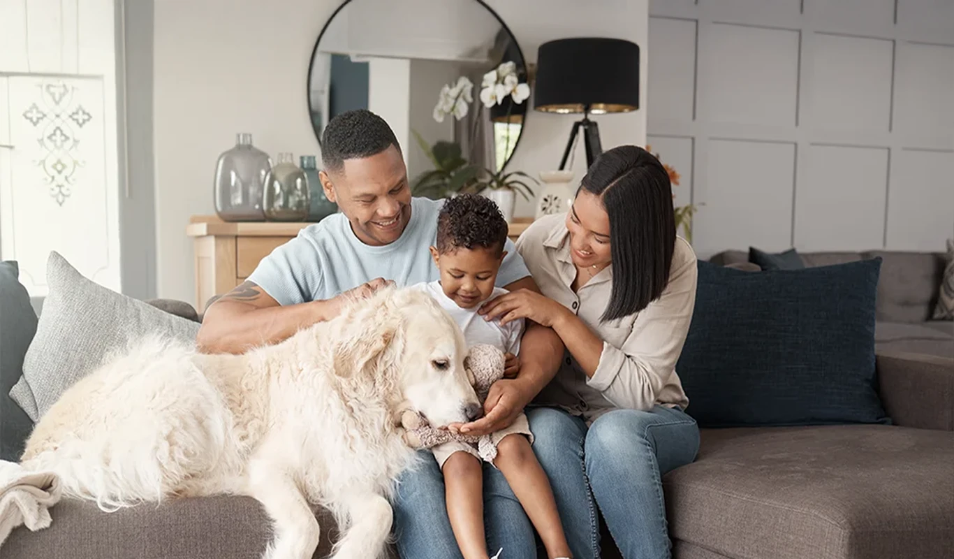 Indoor Air Quality banner